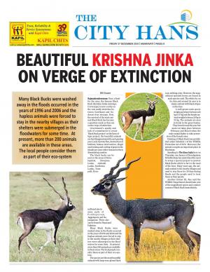 amaravati city pages