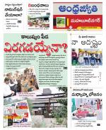 Mahabubnagar District