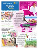 Bhadradri Kothagudem