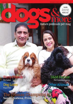 dogs & more - November-December 2019