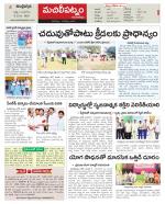 Krishna Constituencies