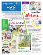 Bhadradri Kothagudem