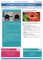 Curious Times Weekly