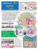 Bhadradri Kothagudem