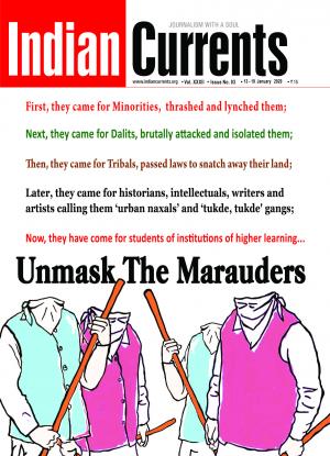 UNMASK THE MARAUDERS