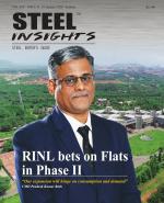 Steel Insights