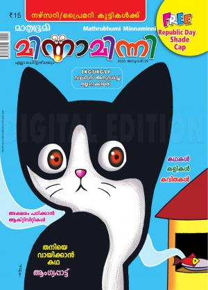 Minnaminni - 2020 January 29