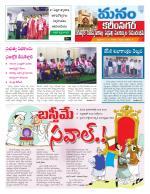 Karimnagar/siricilla/Jagityala