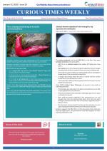 Curious Times Weekly