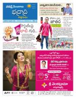 Bhadradri Kothagudem