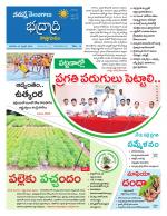 Bhadradri Kothagudem