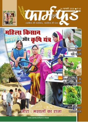 February Second 2020