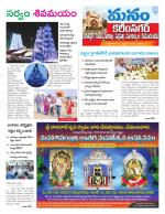 Karimnagar/siricilla/Jagityala