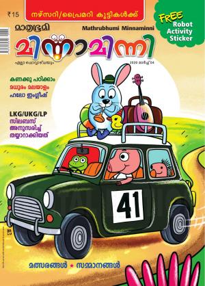 Minnaminni - 2020 March 4