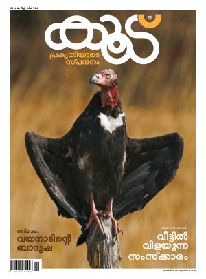 Koodu Magazine