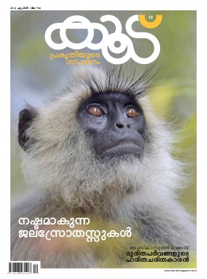 Koodu Magazine