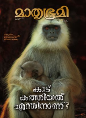 Weekly-2014 April 20