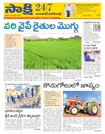 Jayashankar District