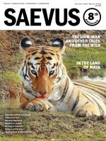 Saevus