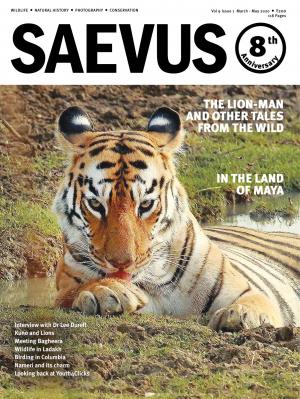 SAEVUS MARCH - MAY 2020