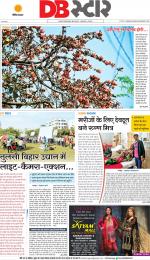 नागपुर डीबी स्टार 