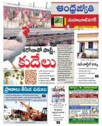 Mahabubnagar District