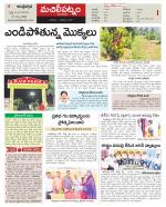 Krishna Constituencies