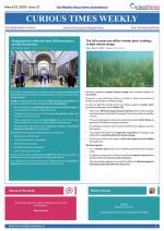 Curious Times Weekly