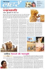 Dainik Tribune (Lehrein)