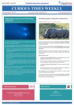 Curious Times Weekly