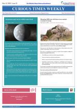 Curious Times Weekly