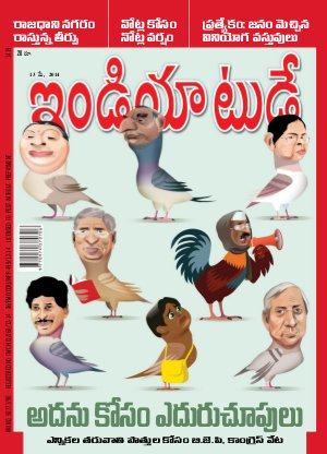 India Today Telugu-13th May 2014
