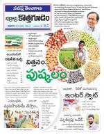 Bhadradri Kothagudem