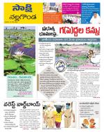 Nalgonda District