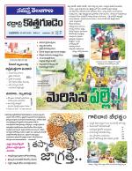 Bhadradri Kothagudem