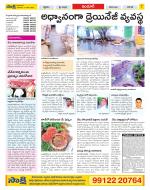 Nizamabad Constituencies