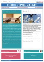 Curious Times Weekly