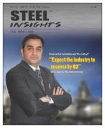 Steel Insights