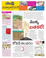 Mahabubnagar District