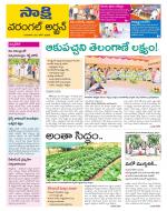 Hanamakonda District