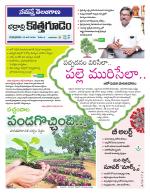 Bhadradri Kothagudem