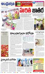 Mahabubnagar District