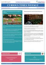 Curious Times Weekly