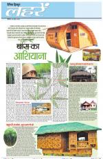 Dainik Tribune (Lehrein)