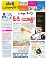 Mahabubnagar District