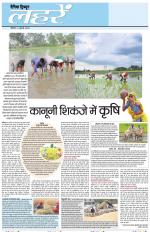 Dainik Tribune (Lehrein)