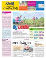 Jayashankar District