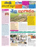 Hanamakonda District