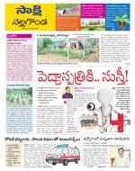 Nalgonda District