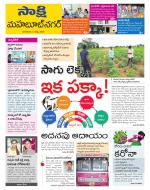 Mahabubnagar District